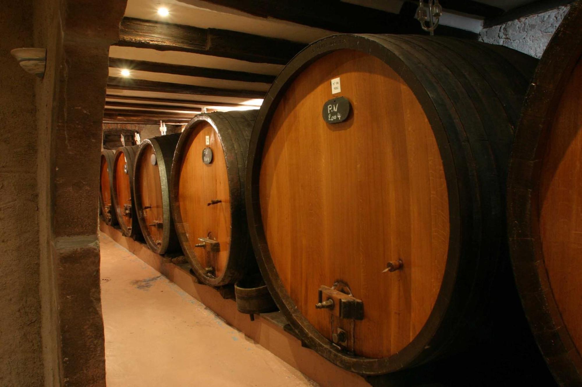 Chambres d'hôtes Ruhlmann Dambach Extérieur photo