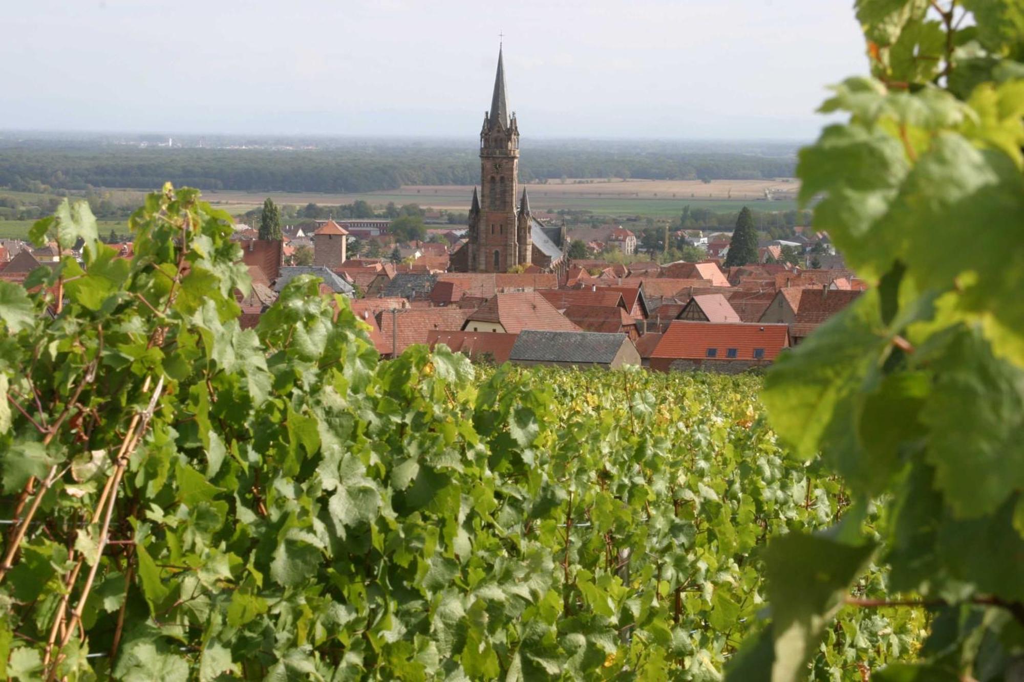 Chambres d'hôtes Ruhlmann Dambach Extérieur photo